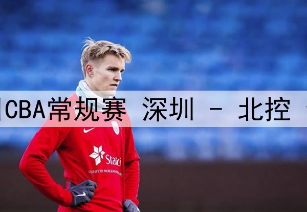 02月13日 欧冠淘汰赛附加赛首回合 布鲁日vs亚特兰大 全场录像