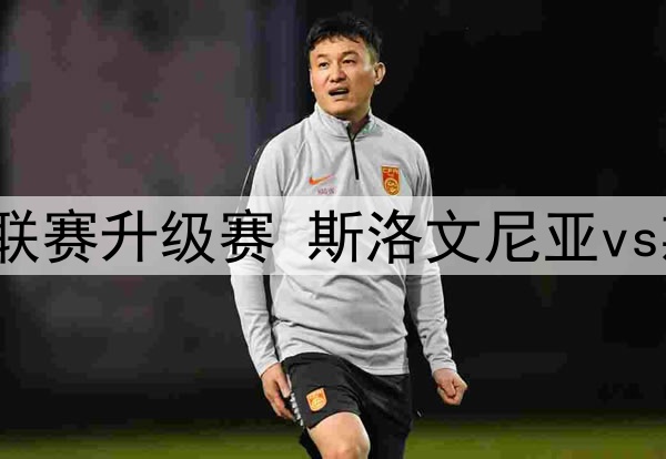 02月23日 德甲第23轮 门兴vs奥格斯堡 全场录像